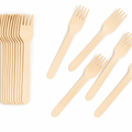 Birchwood Disposable Fork – 160mm