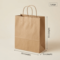 Brown Kraft Twisted Handle Bag – Large 12 × 10 × 5
